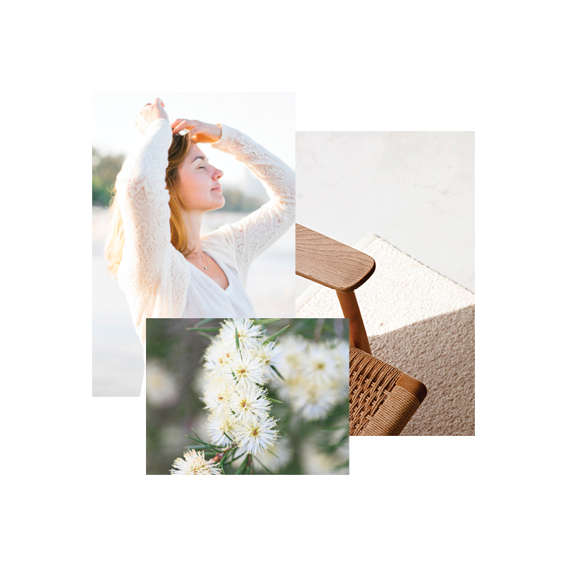 Easy Neutrals Image Cluster